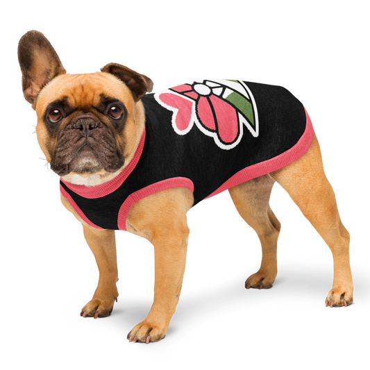 Divided Sky - Knitted Dog Sweater