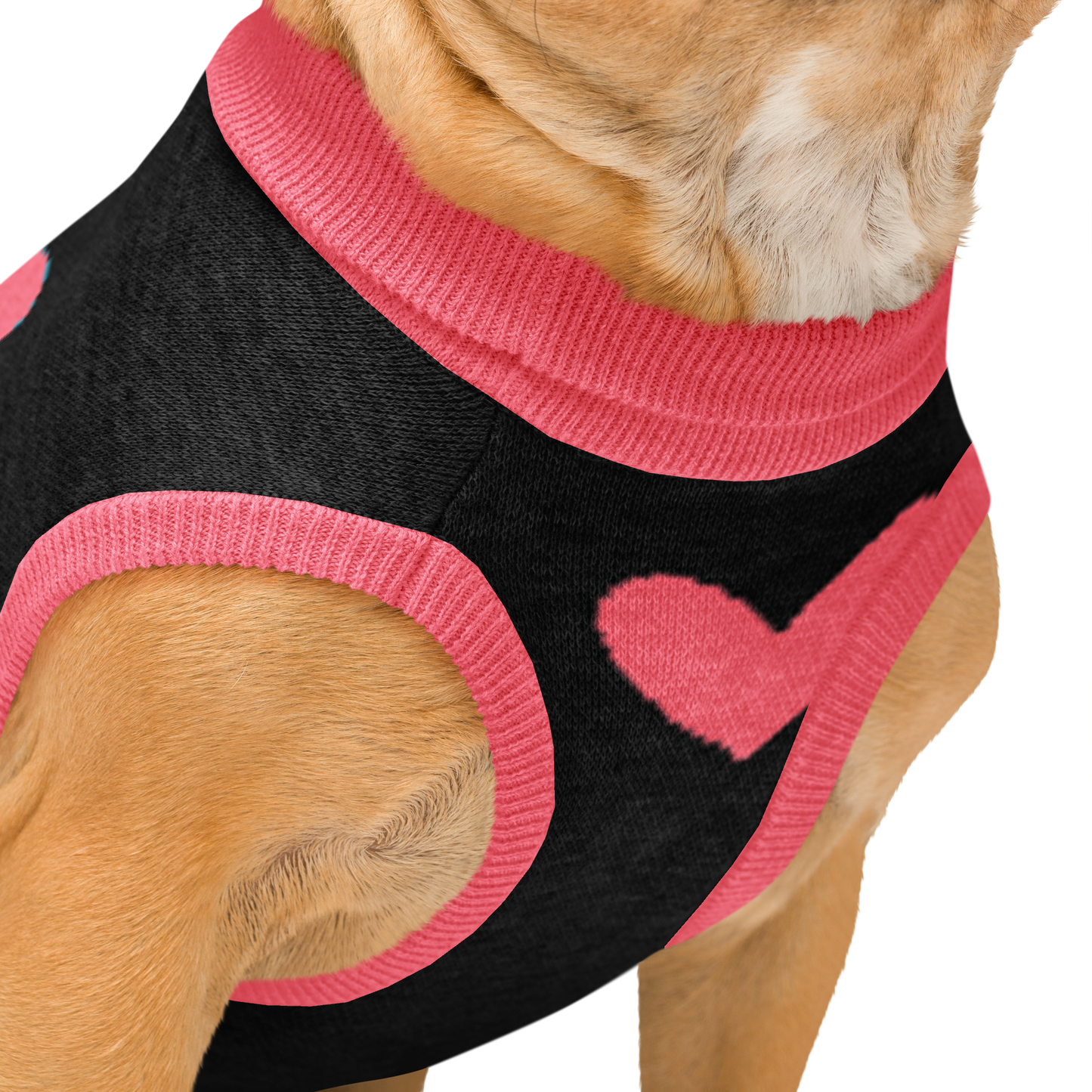 Divided Sky - Knitted Dog Sweater - Women's Scholarship Fund Logo