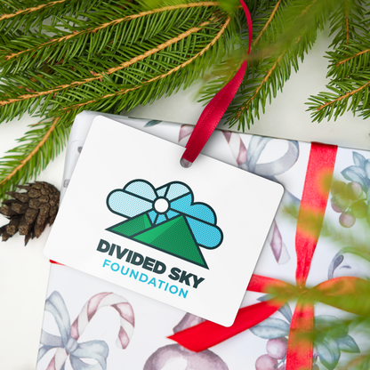 Divided Sky Metal Ornament