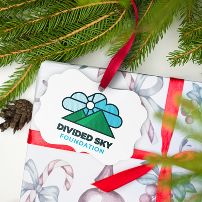 Divided Sky Metal Ornament